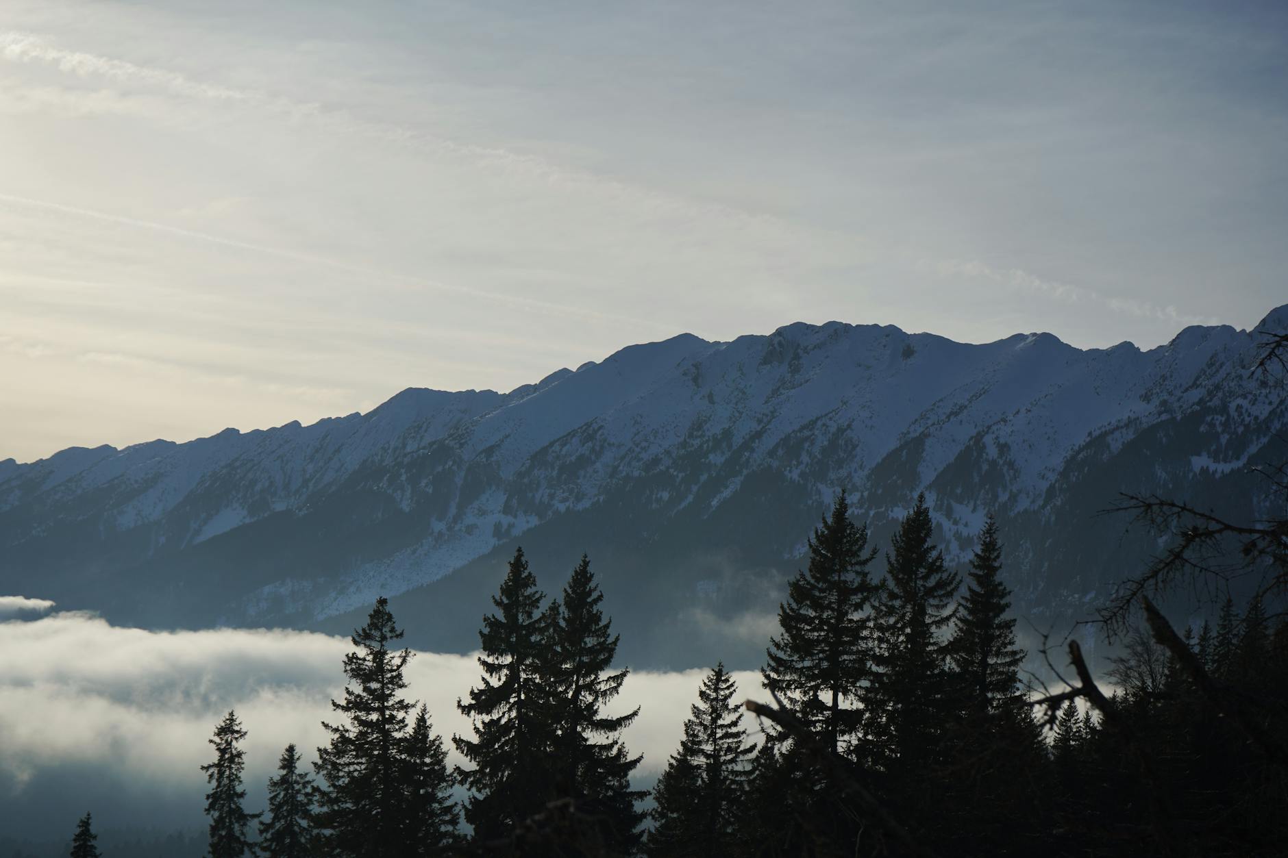 memepick story / 「思いつき」が2日でアプリになった話